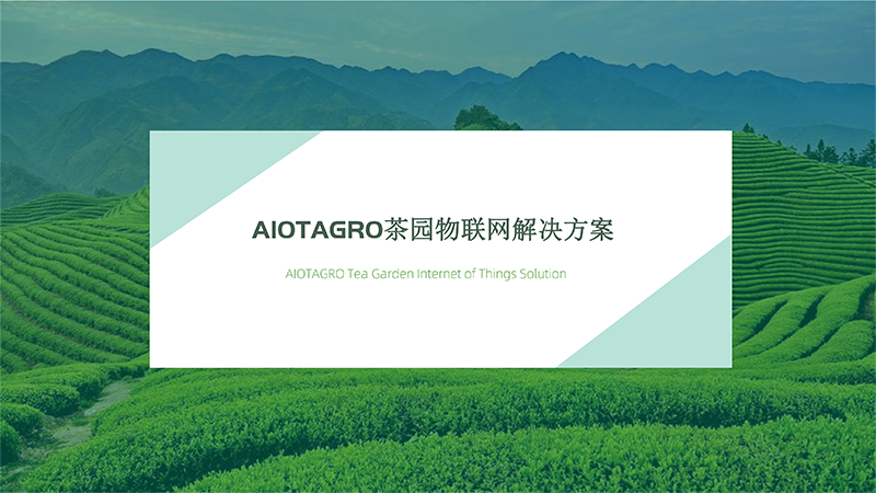 AIOTAGRO智慧茶园物联网解决方案