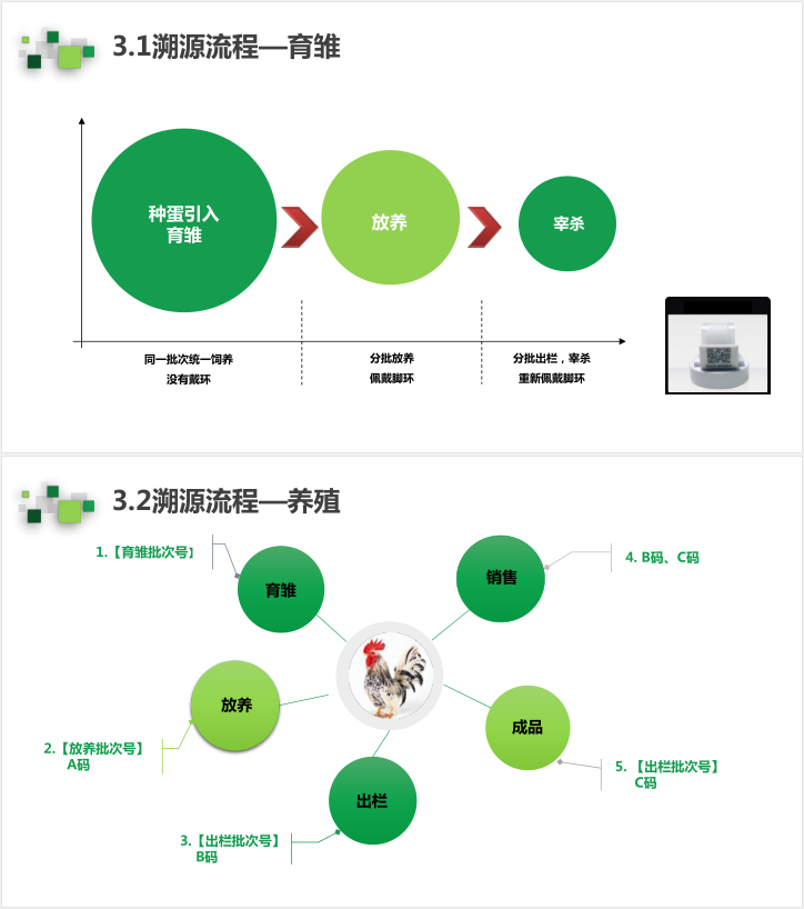 AIOTAGRO 鸡用智能脚环 溯源系统解决方案