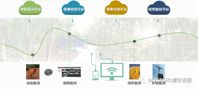 物联网设备+AI的智能养殖模式-爱农云联