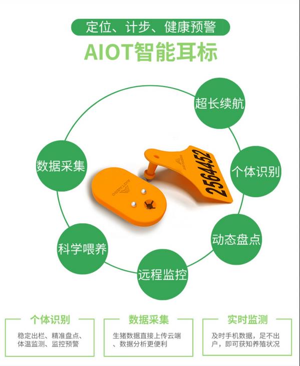 爱农云联-智慧农业-AIOT智能耳标，适用于牛，羊，猪等养殖动物的智慧管理